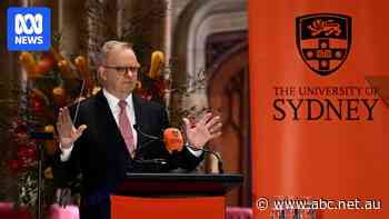 Albanese makes AI plan, Hanson and Rinehart enjoy Sicily