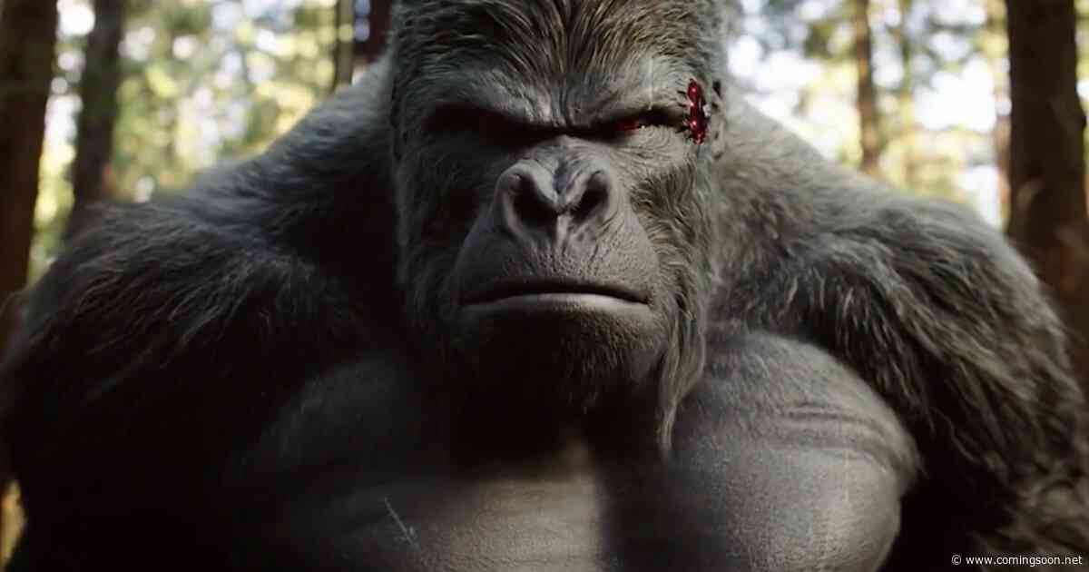 DC Fans Are Saying This About New Gorilla Grodd Casting