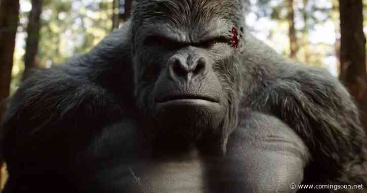 DC Fans Are Saying This About New Gorilla Grodd Casting