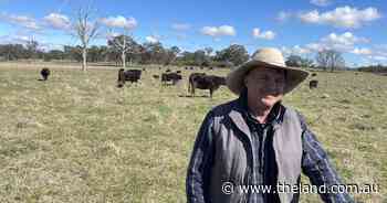 'We'll take the wins': windfarm shelved after four-year community fight