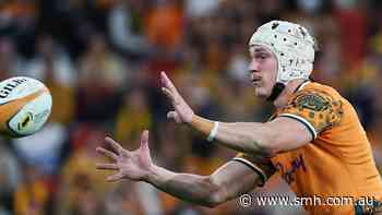 Schmidt backs rookie Meredith to end Wallabies’ terrible run
