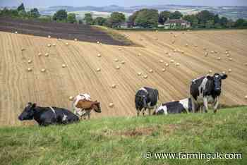 Record heat linked to unprecedented fall in UK milk deliveries