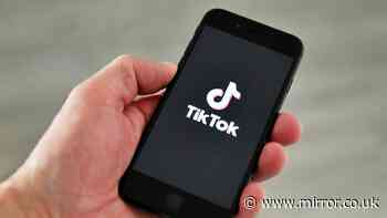 TikTok under investigation from Ofcom for 'failing to protect children'