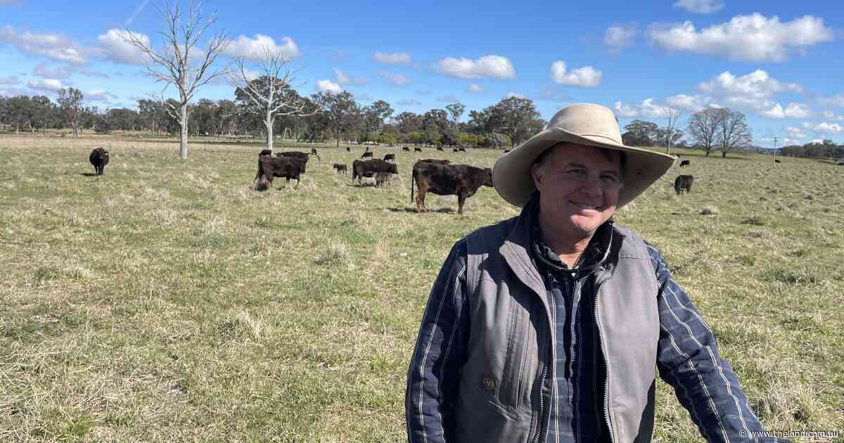 'We'll take the wins': wind farm shelved after four-year community fight