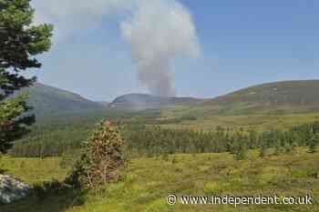 Locals told to ‘leave your pets and go’ as fire rips through Cairngorms