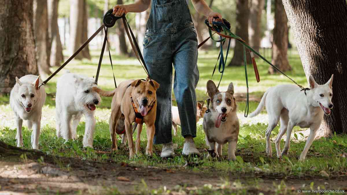 Two types of dogs will really struggle in heatwave, warns expert