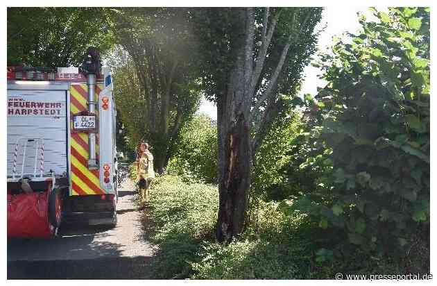 POL-DEL: Landkreis Oldenburg: Zeugen gesucht zu Brand an Baum in Harpstedt