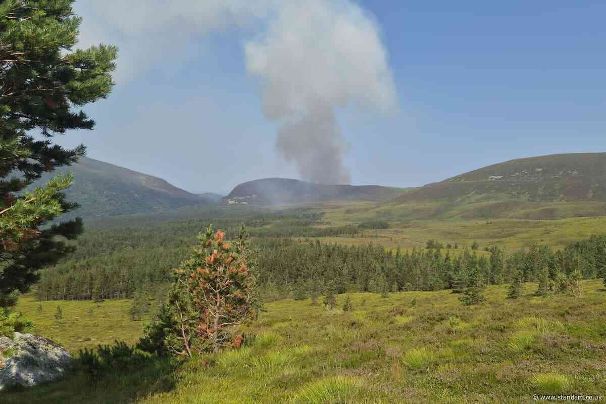 Firefighters work through night tackling wildfire which has led to evacuations