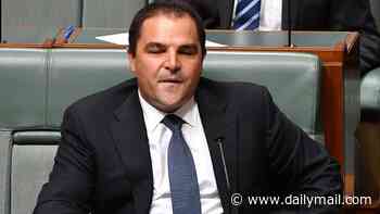 Senior Liberal MP and staff member seriously injured in boat incident