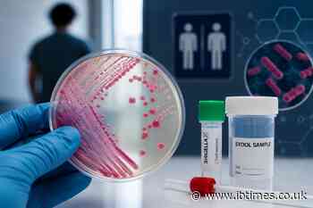 'Virtually Untreatable' Shigella STI Is Surging Among Gay and Bisexual Men in the UK, Experts Warn