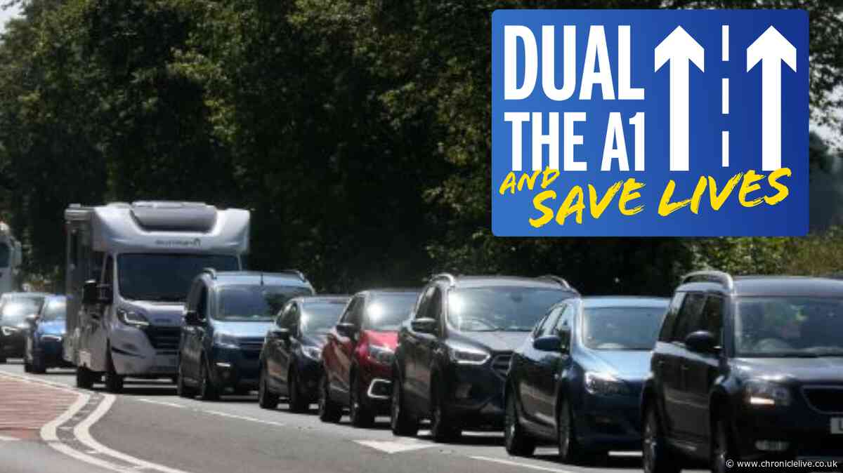 North East Labour MPs call on Government to be the one that finally fixes the A1