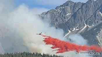 Out-of-control wildfire prompts evacuation order for area south of Pemberton, B.C.