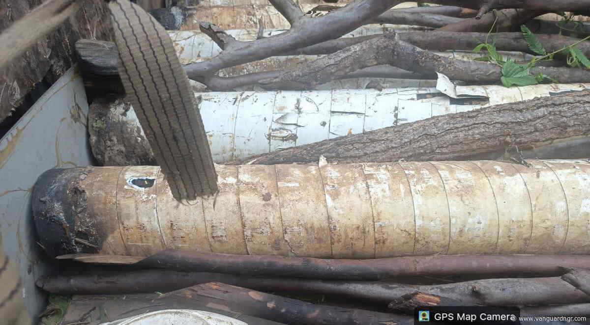 Navy foils pipeline vandalism network, recovers stolen pipelines in Imo