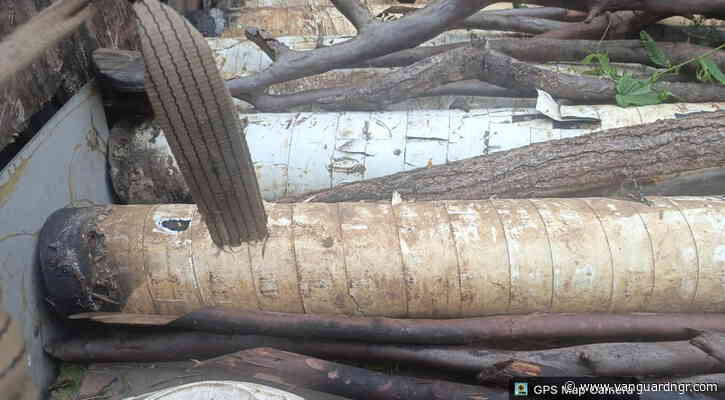 Navy foils pipeline vandalism network, recovers stolen pipelines in Imo