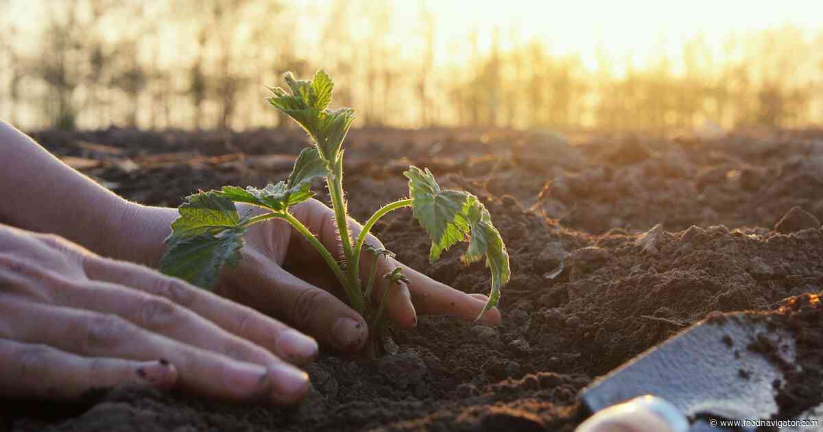5 things F&B needs to know about the Regenerating Together framework