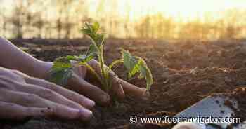 5 things F&B needs to know about the Regenerating Together framework