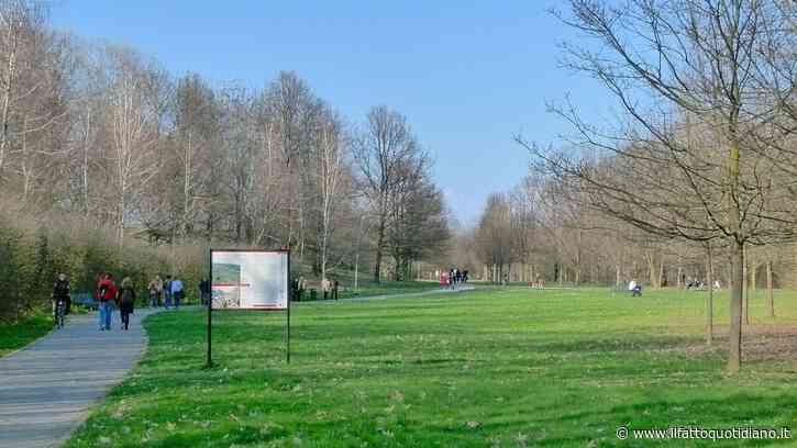 La Pedemontana lombarda minaccia il bosco simbolo del disastro di Seveso. La società: “Tutte le norme rispettate”. Gli attivisti: “Devastazione ambientale”