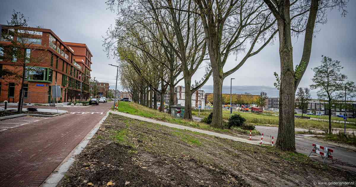 Vergeten Rotterdamse grond staat nog op naam van vrouw uit 1853, landelijke zoektocht van start