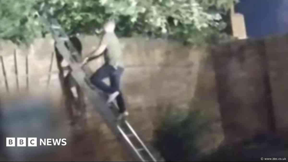 Theft suspect talked down from tree after two hours