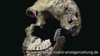 Mysteriöser Fund: Waren alle Homo-naledi-Fossilien in der Höhle weiblich?