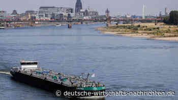 Rhein führt zu wenig Wasser: Niedrigwasser treibt Transportkosten