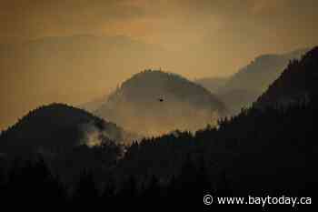 B.C. officials brace for increased wildfire activity from dry lightning