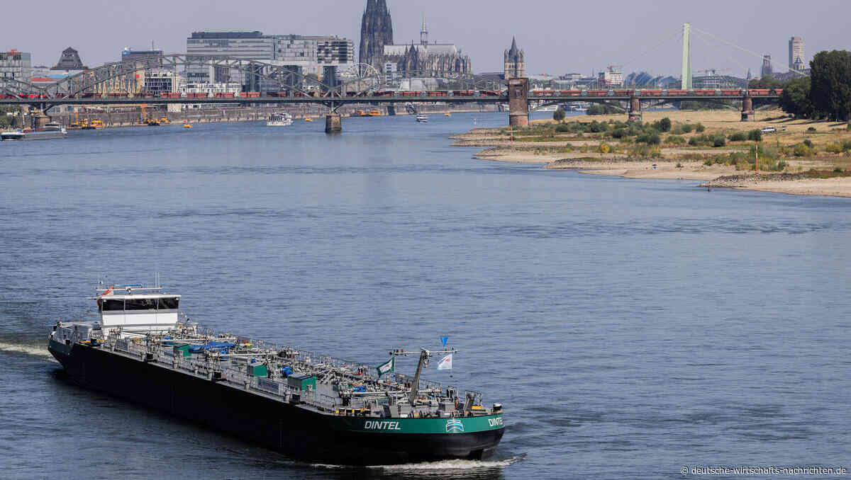 Rhein führt zu wenig Wasser: Niedrigwasser treibt Transportkosten