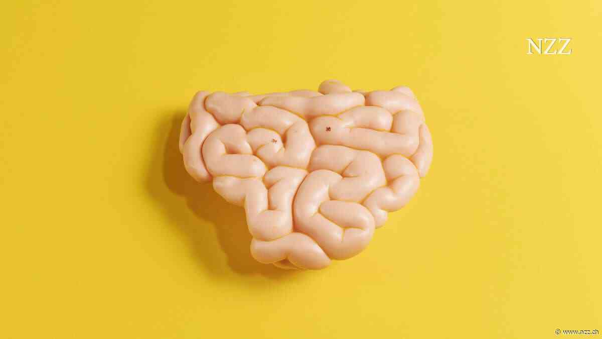 Unsere lieben Mitbewohner: Was sie über das Mikrobiom im Darm wissen sollten, um gesund zu bleiben