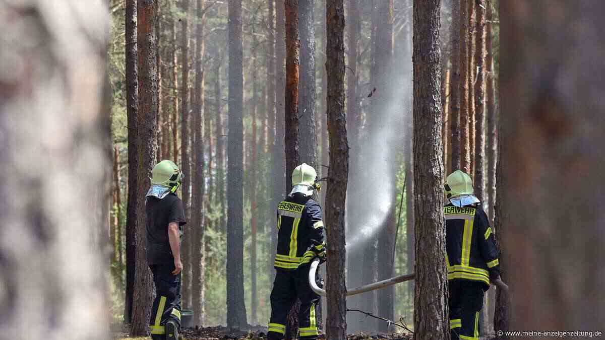 Tipps gegen Waldbrände – was im Sommer im Wald tabu ist