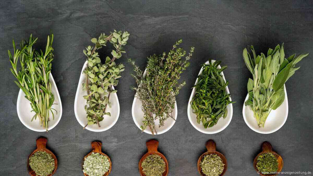 Salatkräuter selbst mischen: So gelingt das perfekte Dressing in nur zwei Minuten