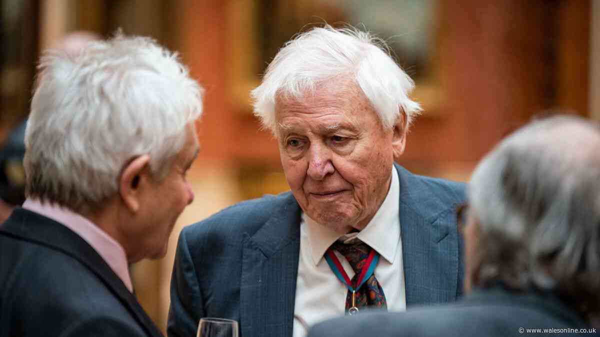David Attenborough's warning to 15 million dog owners in the UK