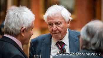 David Attenborough's warning to 15 million dog owners in the UK