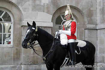Tradition or Cruelty? King's Guard Horse Overheats During Record-Breaking UK Heatwave