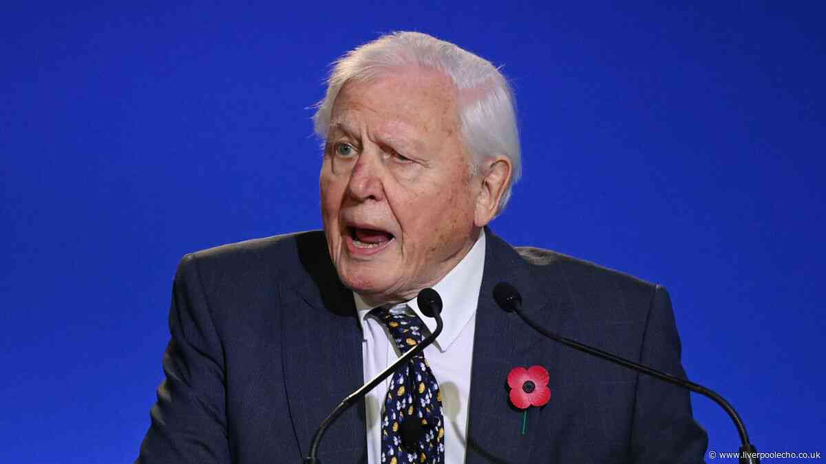 David Attenborough's stark warning to all dog owners in the UK