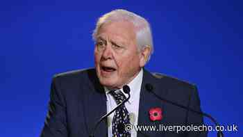 David Attenborough's stark warning to all dog owners in the UK