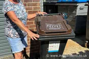 Food waste bins not emptied for weeks because of heatwave temperatures