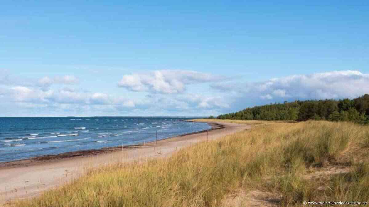 Diese Insel vor Estland überrascht mit Leuchttürmen, Küste und Stille