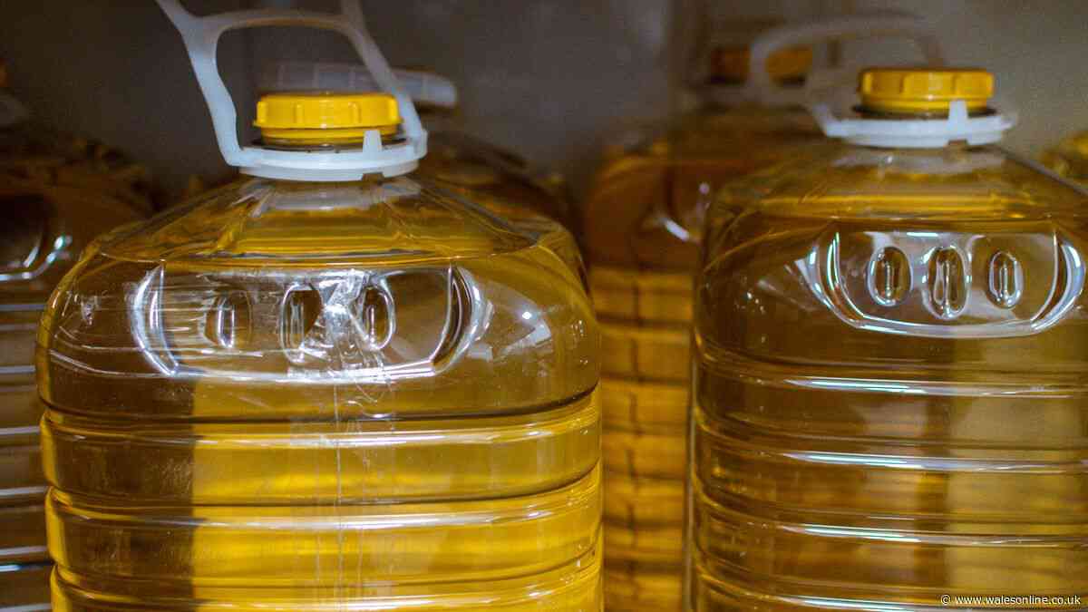 Binman settles debate on where to dispose of used cooking oil — and it's not the food waste bin