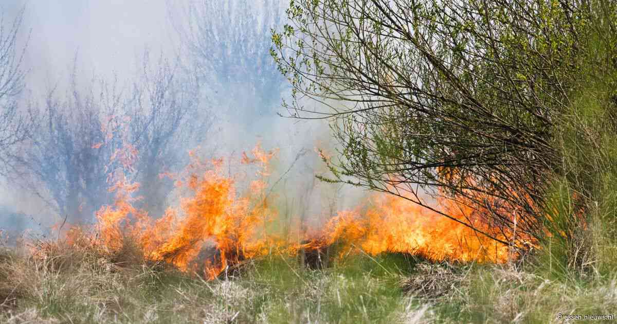 Brandgevaarcode oranje: natuurbranden op de loer