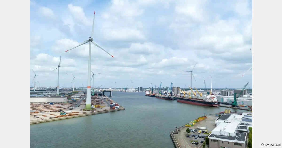 Scheepvaartverkeer in haven Antwerpen stil na incident met fluorwaterstofzuur