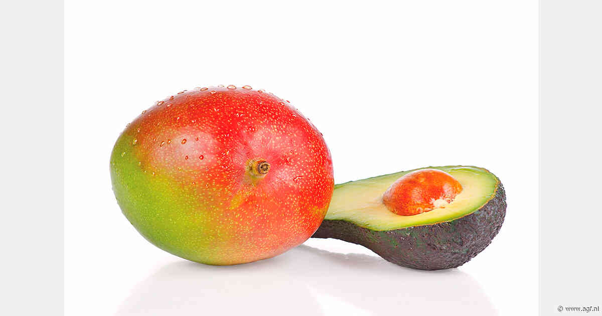 Spaanse mango- en avocado-oogst 35 tot 40 procent kleiner na stormschade
