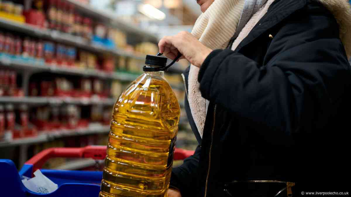 Households urged to avoid disposing of cooking oil in the food waste bin — 1 place is better