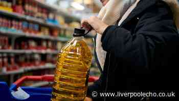 Households urged to avoid disposing of cooking oil in the food waste bin — 1 place is better