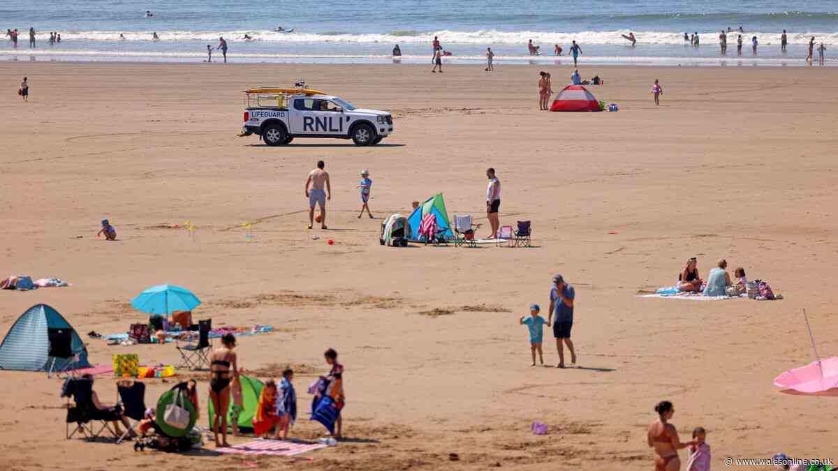 Warning after person stung by jellyfish on Welsh beach