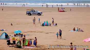 Warning after person stung by jellyfish on Welsh beach