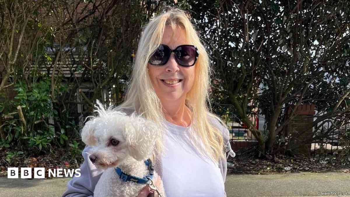 Owner calls for law change after dog killed in attack