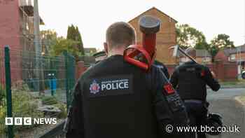 Police uncover £50k cannabis haul in dawn raids after three months of planning