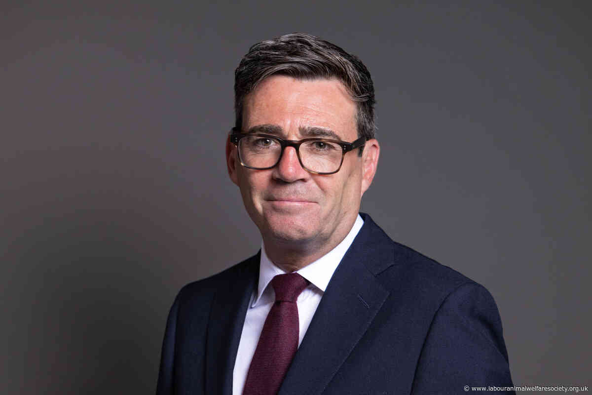 LAWS endorses Andy Burnham and calls for renewed action for animals