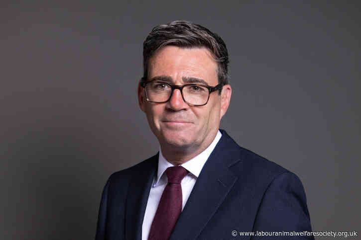 LAWS endorses Andy Burnham and calls for renewed action for animals