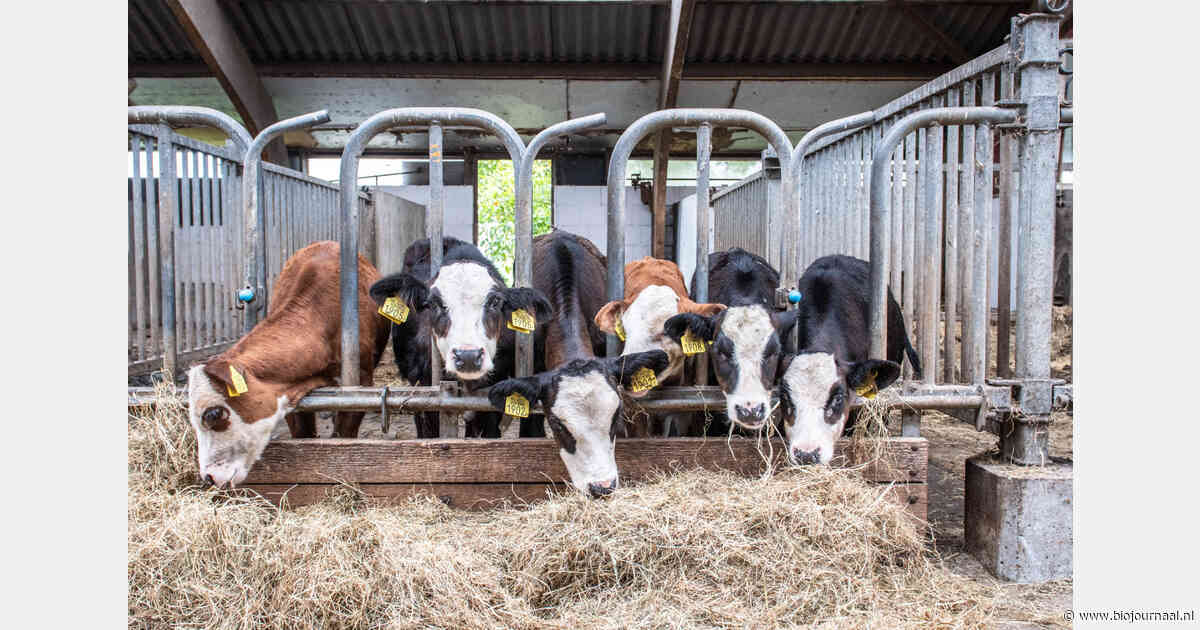 Ruim 2 miljoen euro subsidie voor verduurzaming Noord-Hollandse melkveehouderij